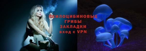 ПСИЛОЦИБИНОВЫЕ ГРИБЫ Армянск