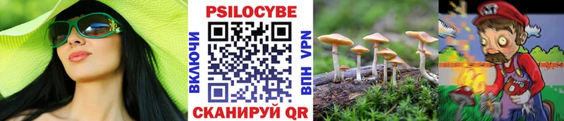 Псилоцибиновые грибы GOLDEN TEACHER Новоульяновск